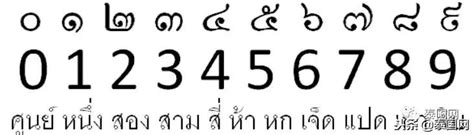 泰國數字玄學 手臂毛